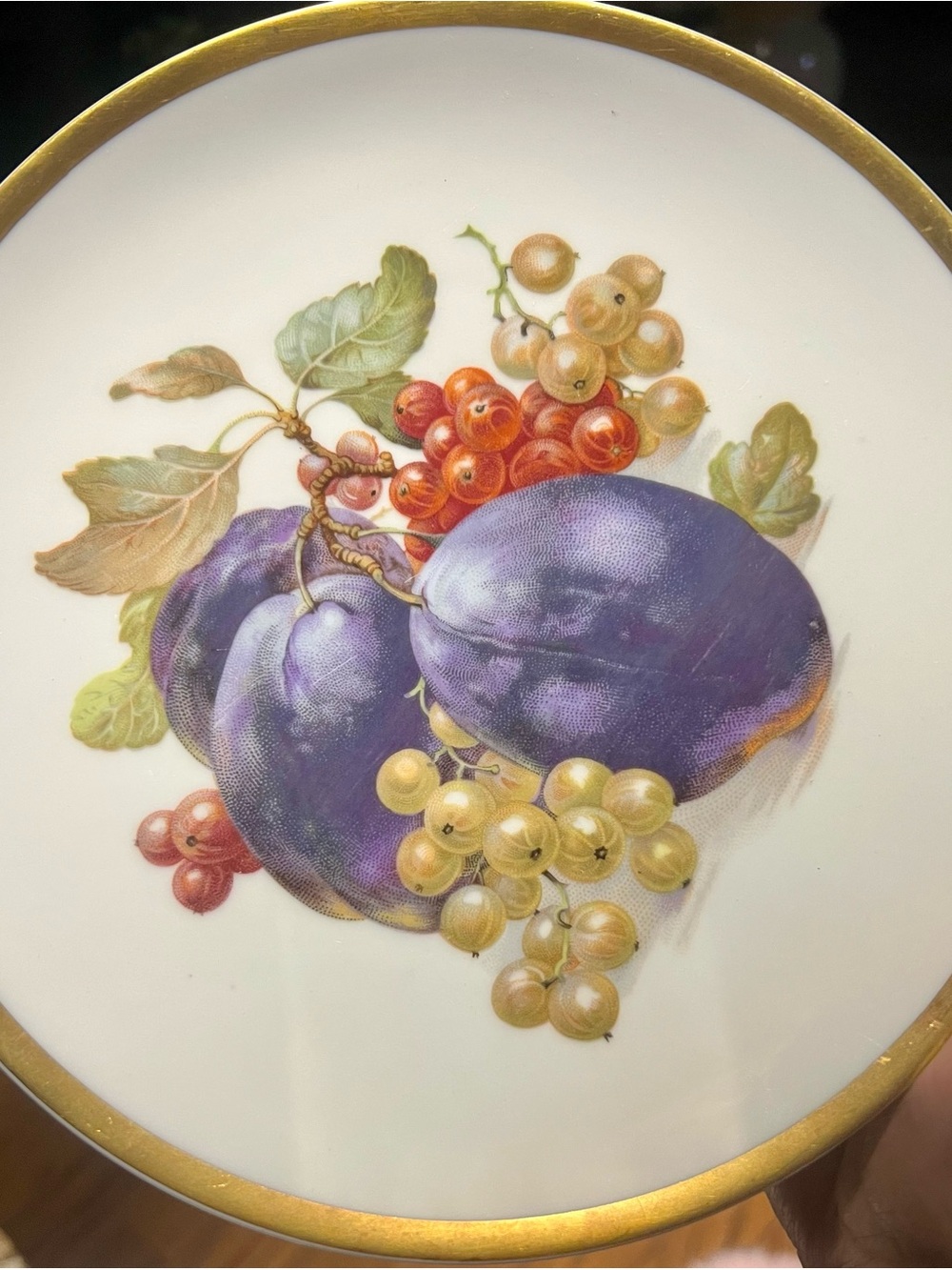 Vintage Jaeger Bavaria Orchard PLUM Plate Replacement E&R Gold Rim